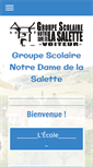 Mobile Screenshot of collegelasalette.net